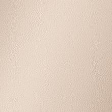 Beige Amalfi Vinyl