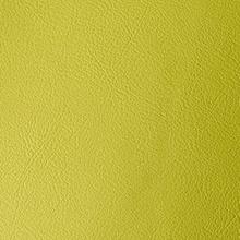 Lime Amalfi Vinyl