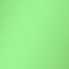 Neo Mint Amalfi Vinyl