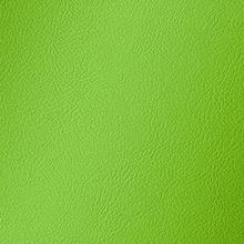 Parakeet Amalfi Vinyl