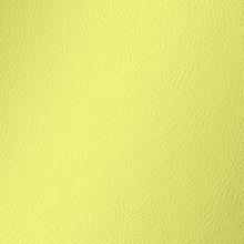 Pastel Green Amalfi Vinyl
