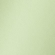 Pistachio Amalfi Vinyl