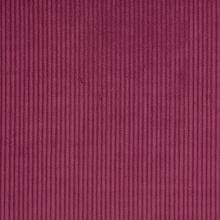 Burgundy Corduroy
