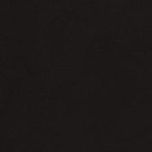 Black Dinamica