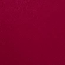 Anenome Leather