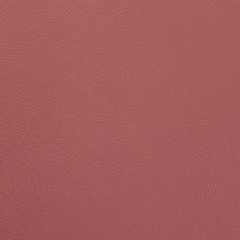 Brick Red Leather
