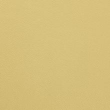 Chartreuse Leather