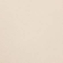 Cottonseed Leather
