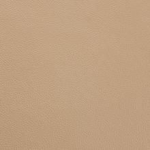 Dark Beige Leather