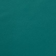 Dark Teal Leather