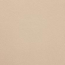 Ivory Leather
