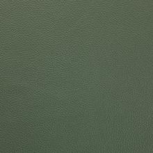 Lichen Green Leather