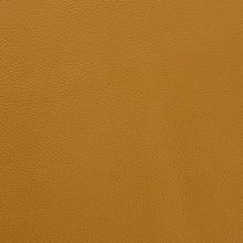 Parchment Leather