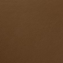 Sage Leather