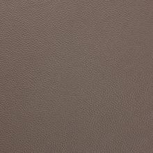 Silver Birch Leather