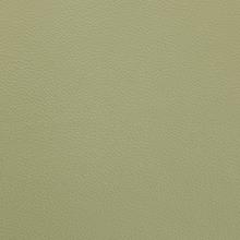 Thyme Green Leather