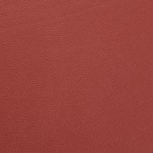 Wood Burner Leather