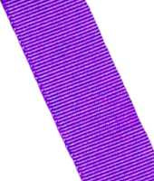 Purple webbing for TRS Harnesses