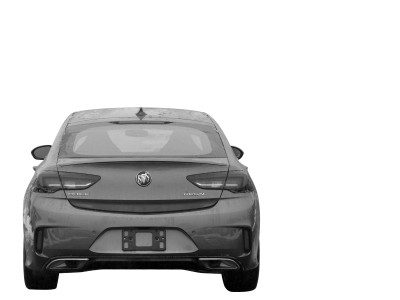 Regal GS Trim - No