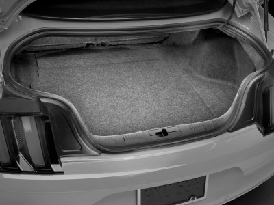 Mustang Subwoofer - No