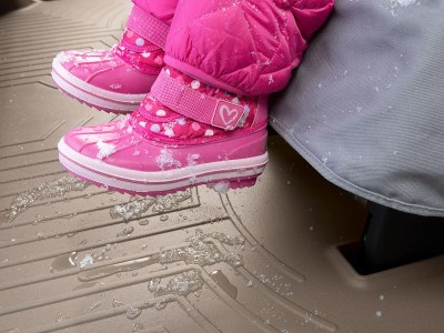 WeatherTech All Weather Protection