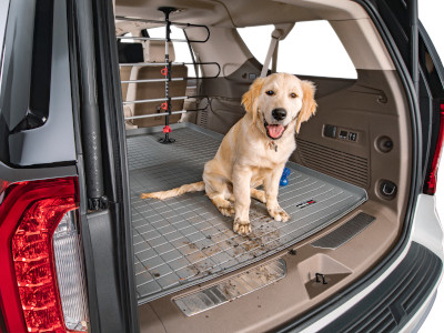 WeatherTech All Weather Protection