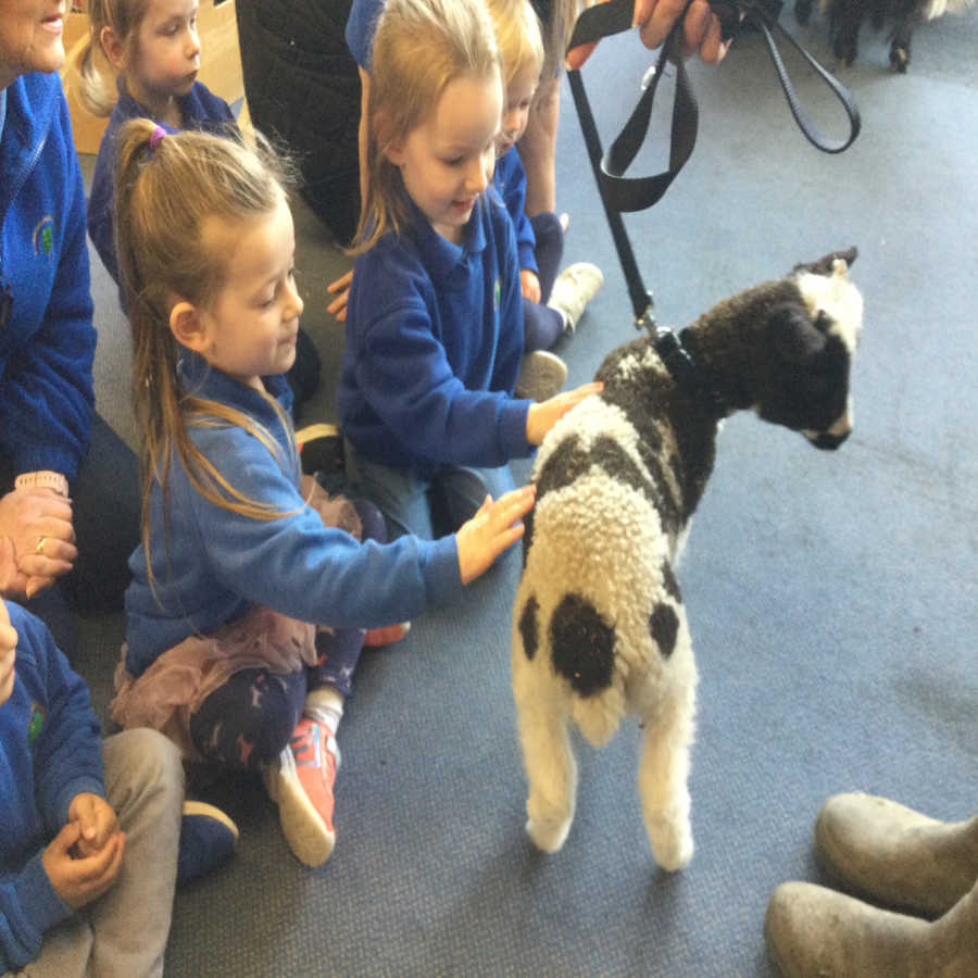 Marsh Farm visit - Little Learners