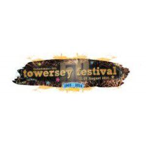 Towersey Festival 2014
