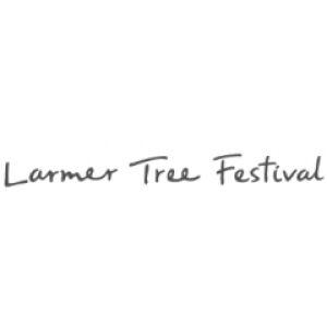Larmer Tree Festival 2013