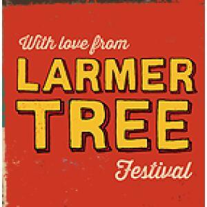 Larmer Tree Festival 2014