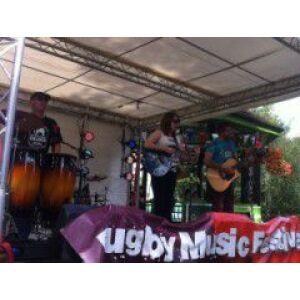 Rugby Music Festival 2013