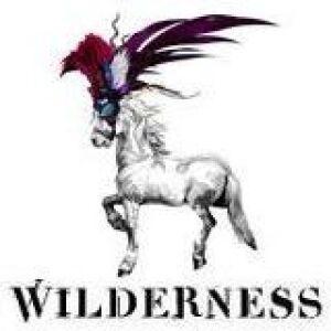 Wilderness 2014