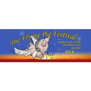 Flying Pig Festival 2014