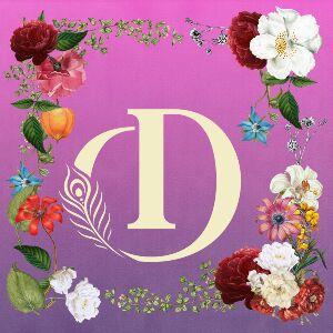 Daresbury Festival 2026