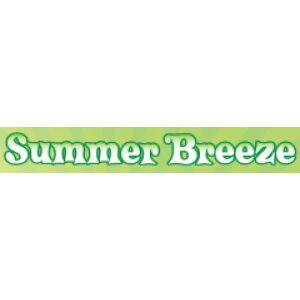 Summer Breeze 2012