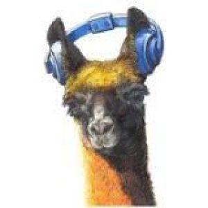 Llama Festival 2013 Cancelled