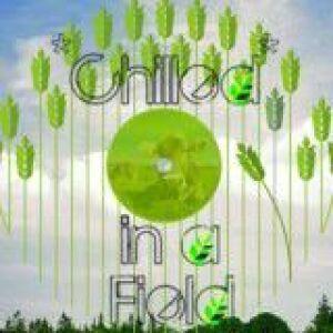 Chilled in a Field 2013