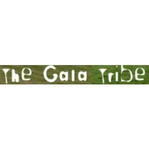 Gaia Tribe Creativity Camp 2014
