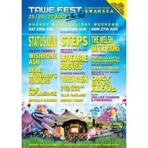 Tawe Fest 2012