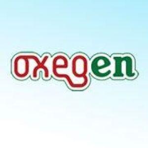 Oxegen 2013