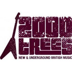 2000trees Festival 2012