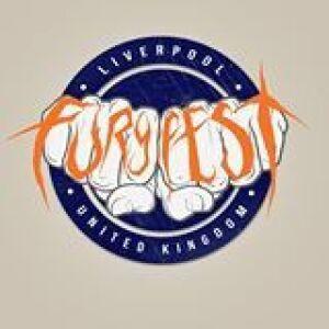 Fury Festival 2014