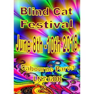 Blind Cat Festival 2018