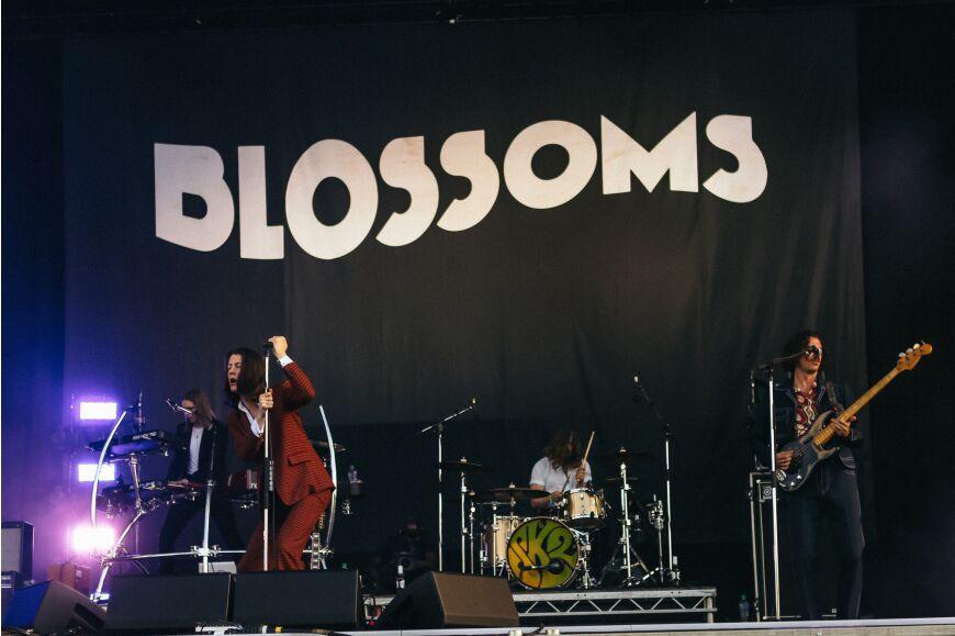 Blossoms at Community Festival 2019