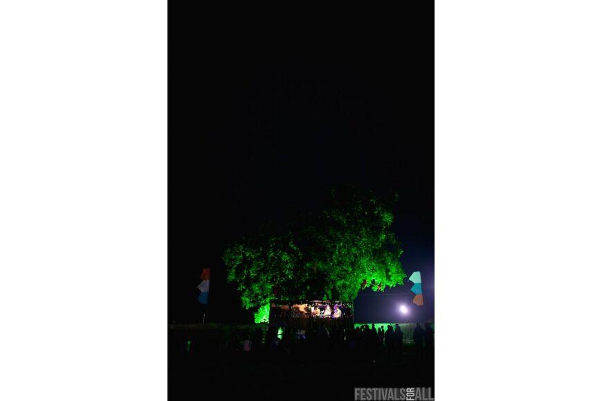 Brownstock 2012