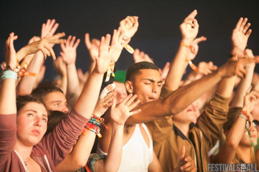 Brownstock 2012