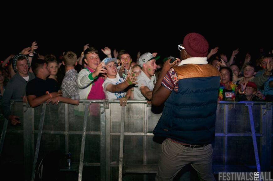 Brownstock 2012