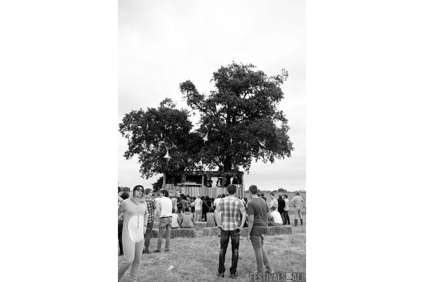 Brownstock 2012