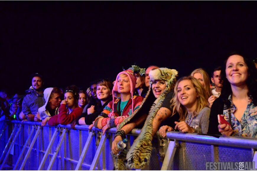 Brownstock Festival 2014