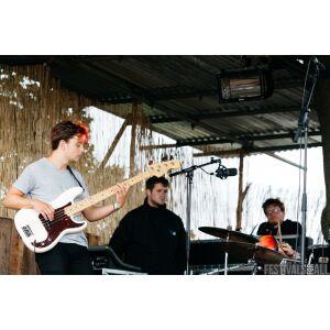 Cassia